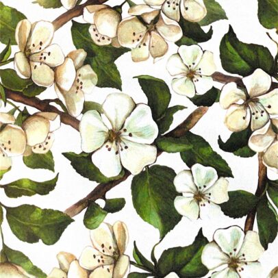 Plato de sitio de papel Cuadrado jazmín blanca x24unid. 20024