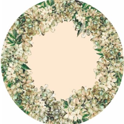 PLATOS DE SITIO PAPEL 35 CM CAJA X 24 UNIDADES ? 20101